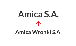 2016 - Schimbarea denumirii din Amica Wronki S.A. &icirc;n Amica S.A.