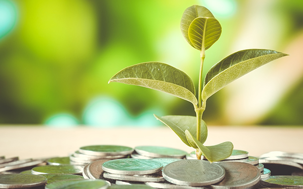 Economisirea energiei este la modă